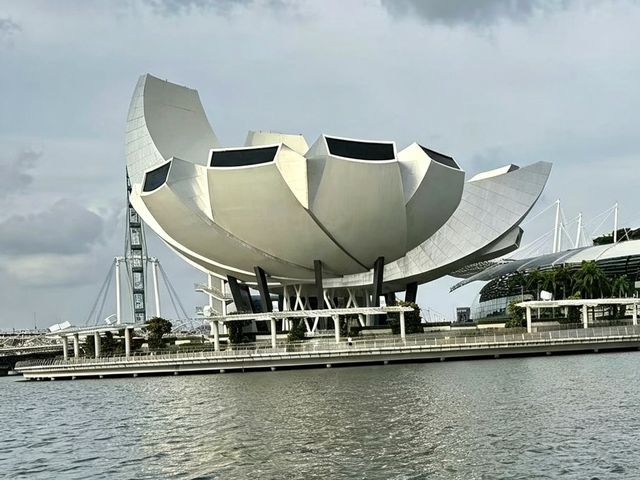 ✨Marina Bay Stroll: Singapore’s Insta-Worthy Adventure