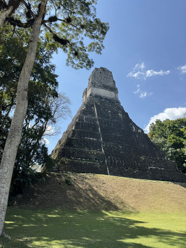 TIKAL National Park