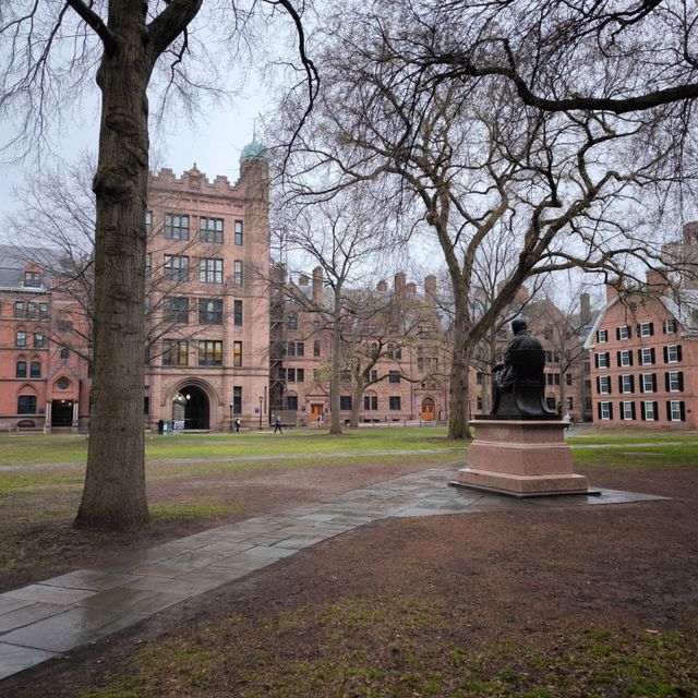 New Haven Day Trip