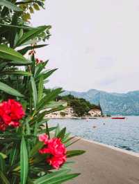 💌If I could step into a postcard, it would be Perast