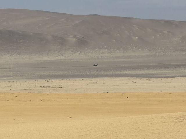 Paracas 'mini Galapagos' and National Reserve trip Paracas 'mini Galapagos' and National Reserve trip