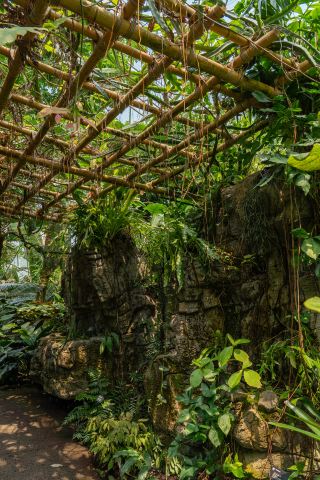 Missouri Botanical Garden: Architecture, Atmosphere, and Details Worth Seeing