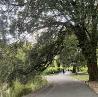 아일랜드 더블린, 유명한 공원. St Stephen’s Green 🌳