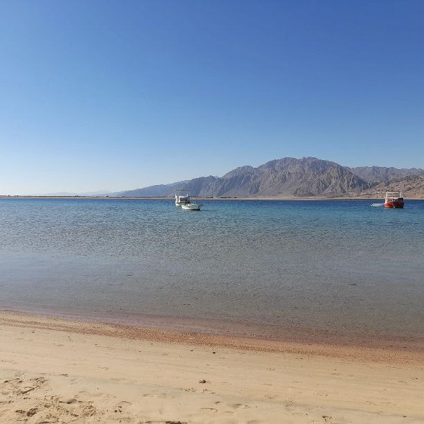 Day trip to Blue lagoon Dahab 