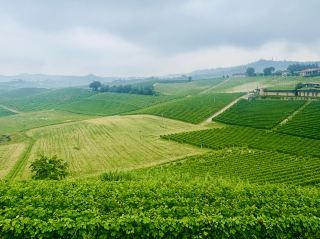 To the greenish city, Alba 🇮🇹 