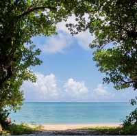 🎣新原沙灘🏖超秘境的海灘🌊海水超級乾淨
