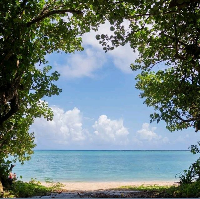 🎣新原沙灘🏖超秘境的海灘🌊海水超級乾淨