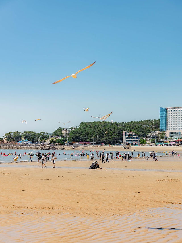 왕산 해변 인천