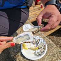 Savoring the Sea