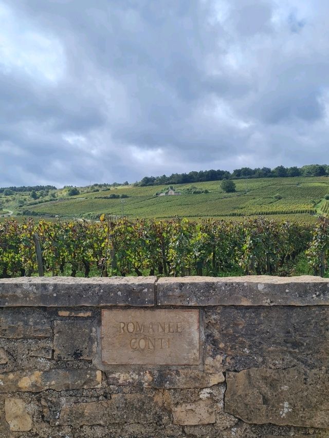 Beaune Surprise ! 🍷#FrenchGems