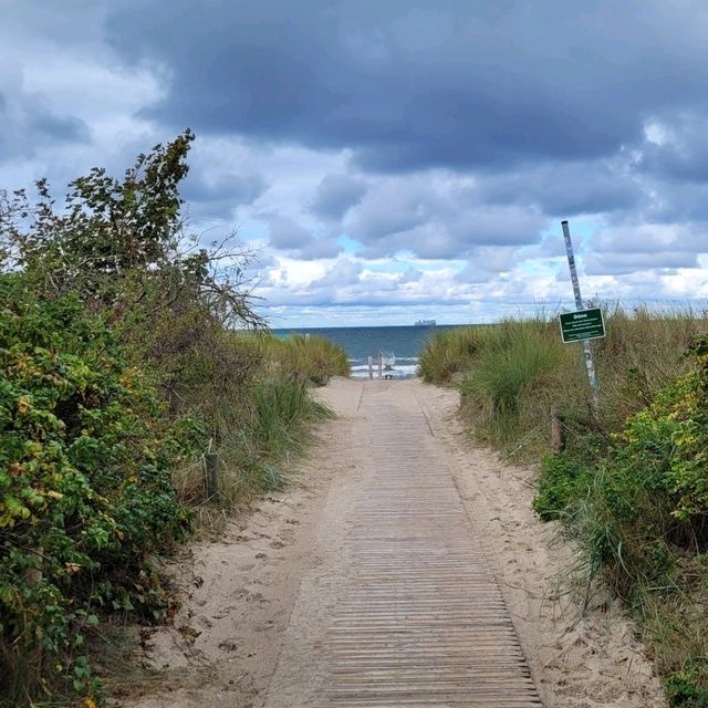Long coastel forest healthy walks in Warnemuende
