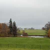 Autumn Charms of Alexandria: A Day by the Bay in Peterhof