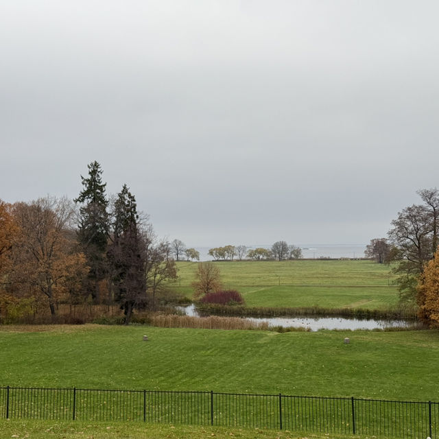 Autumn Charms of Alexandria: A Day by the Bay in Peterhof