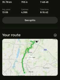 Epping Forest Walk
