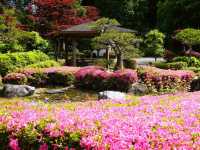 A temple that is said to have been founded in the Nara period (Tenpyo era)
