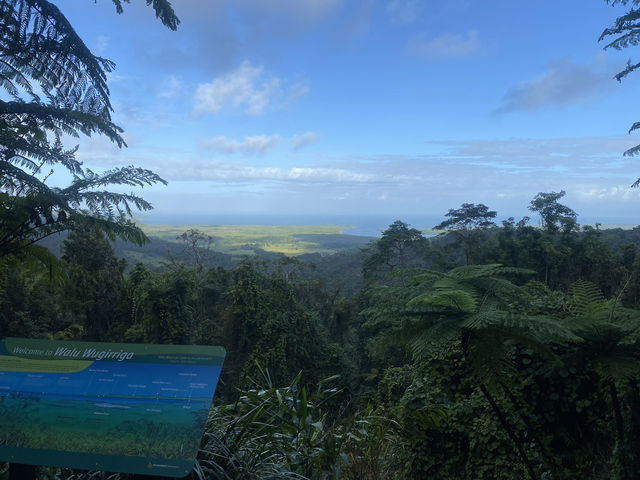 Cairns trip