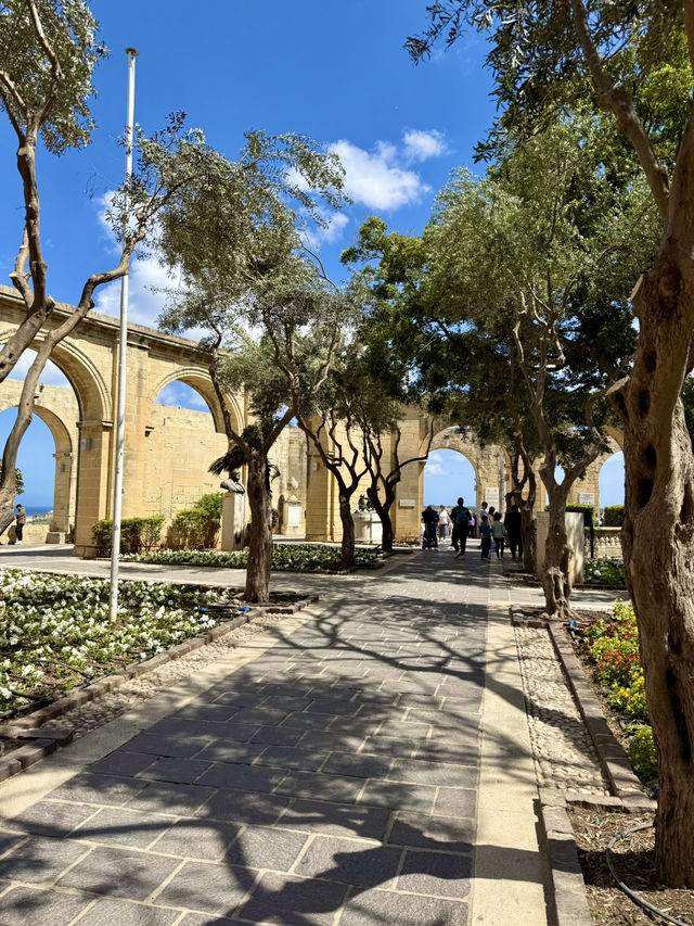 he Grand History Walk 🏛️📜