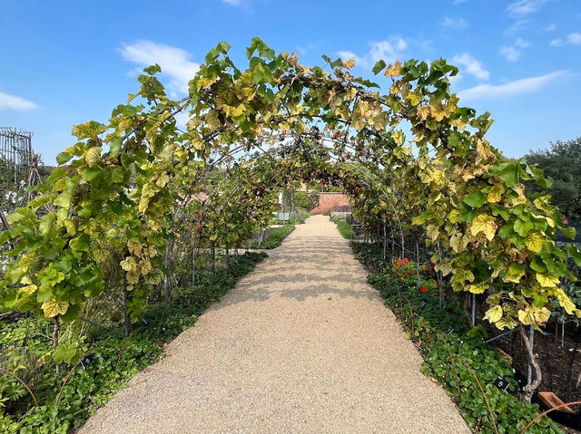 Take a trip to the scenic RHS Bridgewater gardens!