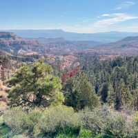 🌄 Bryce Canyon National Park: A Red Rock Dreamscape!