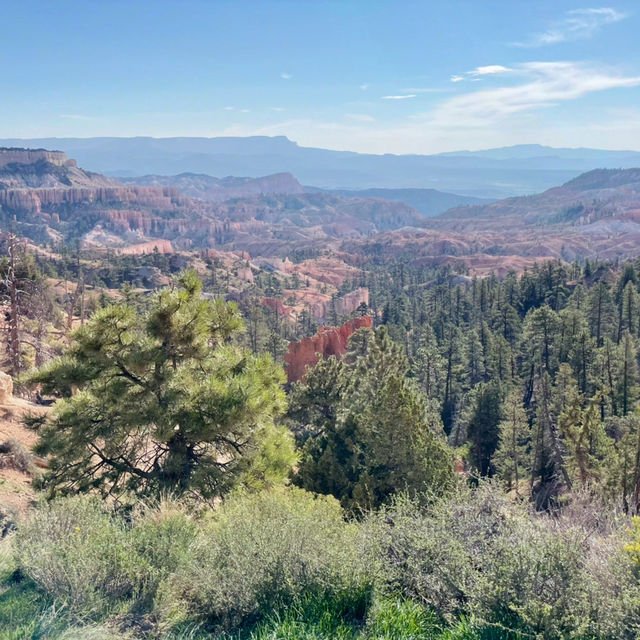 🌄 Bryce Canyon National Park: A Red Rock Dreamscape!