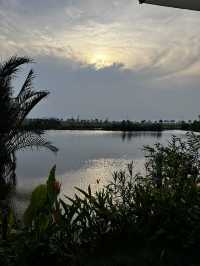 MISS HOI AN CAFE-paradise in the rice fields 