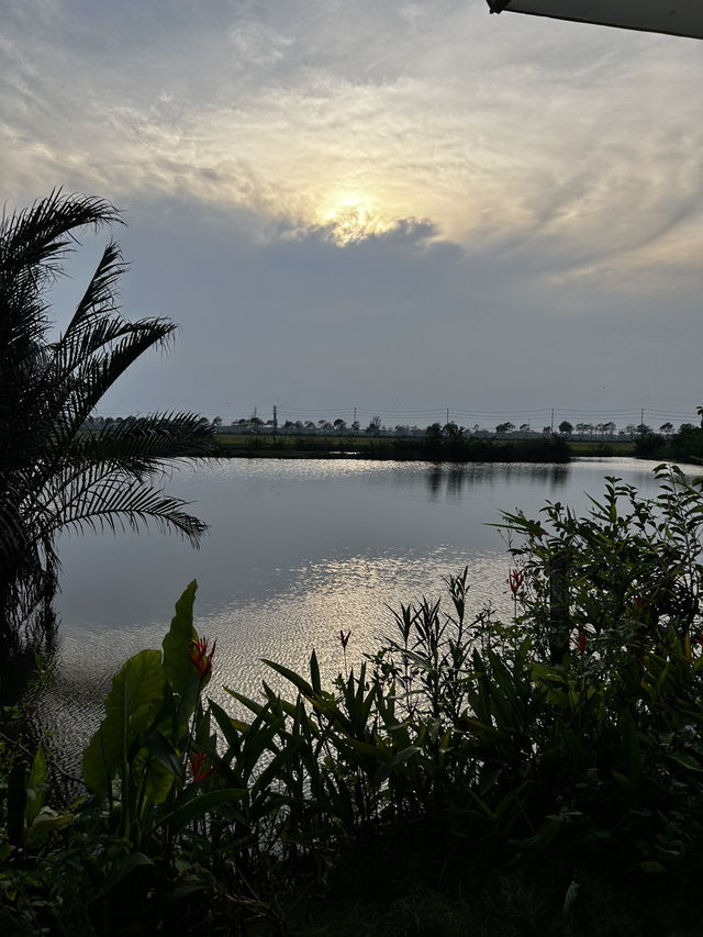 MISS HOI AN CAFE-paradise in the rice fields 