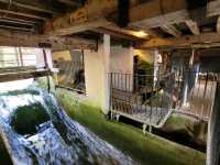 Wander Through Winchester: A Perfect Day Trip