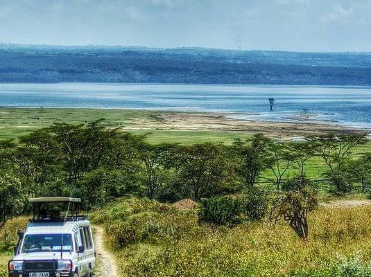 觀鳥天堂～納庫魯國家公園