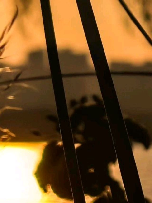 ✨ This is not London. This is Suzhou’s Golden Hour Magic ✨