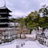 Tokyo to Nagoya: City Sights, History & Local Flavors