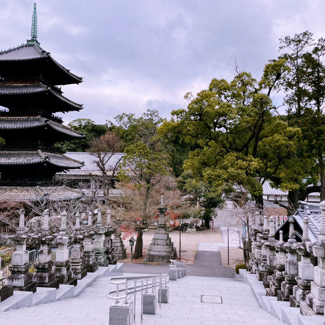Tokyo to Nagoya: City Sights, History & Local Flavors
