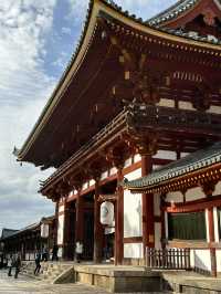 Deer Encounters and Temple Wonders in Nara Park 