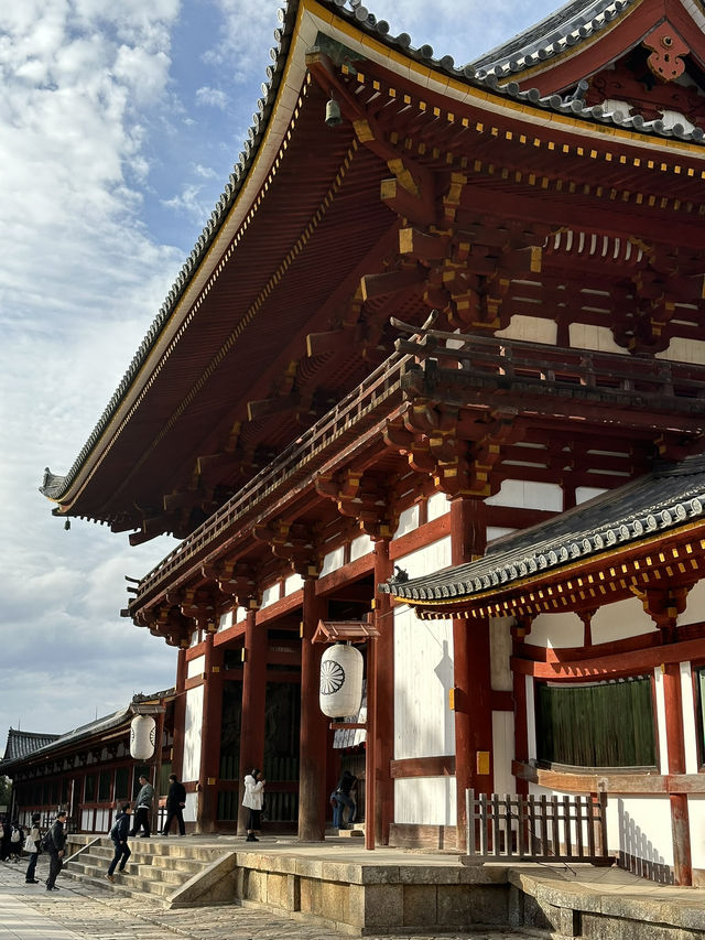 Deer Encounters and Temple Wonders in Nara Park 