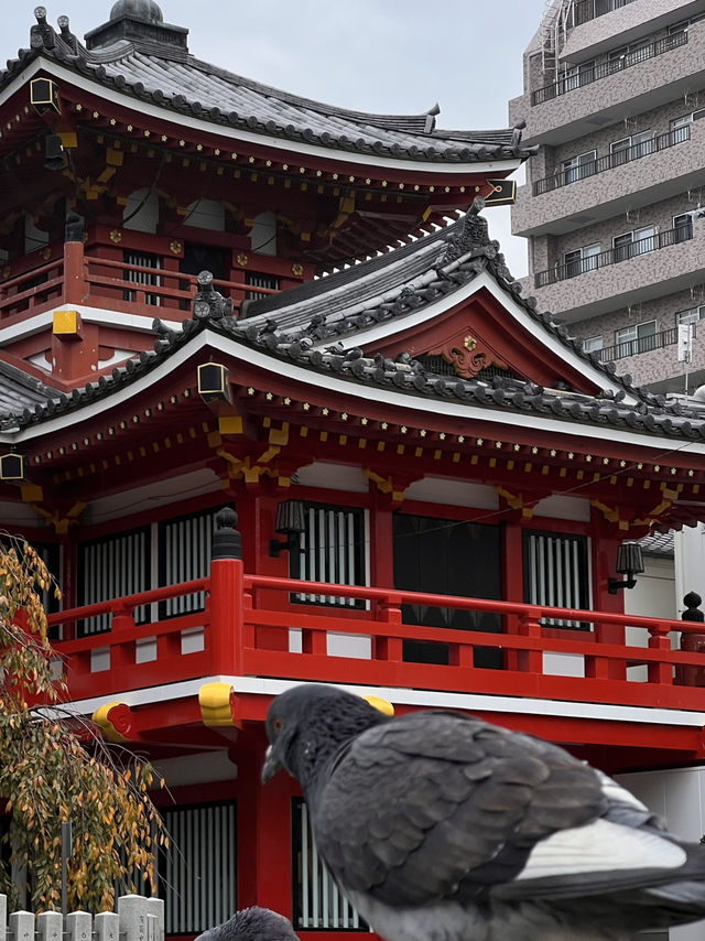 🐇✨Rabbit Shrine & Hidden Gems in Nagoya 🐇✨Rabbit Shrine & Hidden Gems in Nagoya
