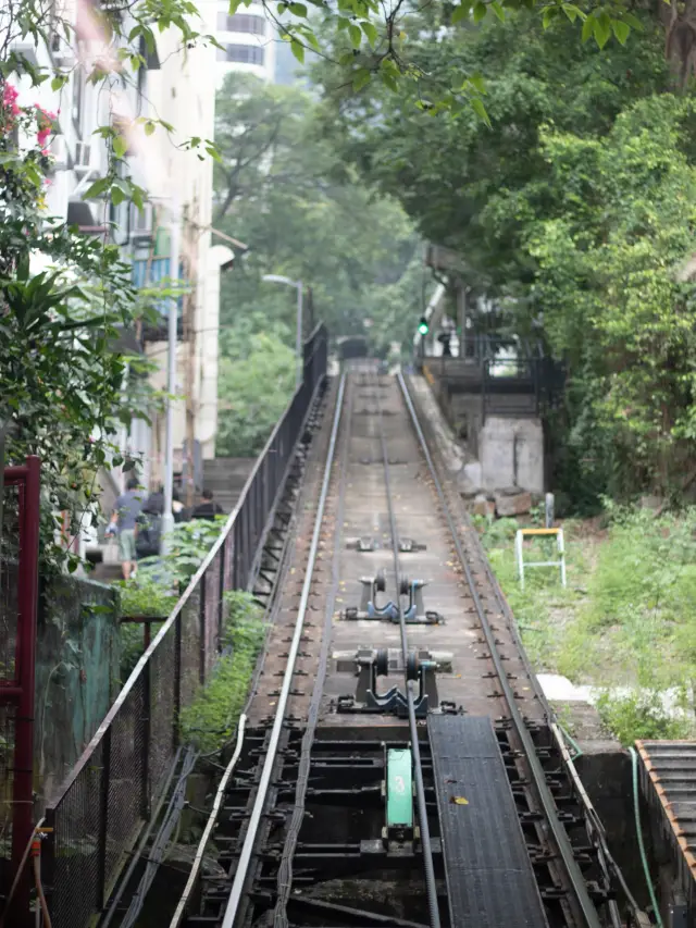 Review of The Peak (Victoria Peak) in Hong Kong