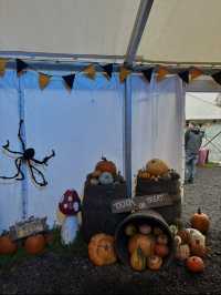 Looking for a pumpkin patch in Cardiff?