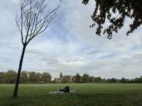 🌳 Discover Roundwood Park, Brent – A Hidden Green Gem in London! 🌳