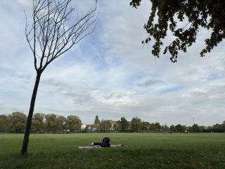 🌳 Discover Roundwood Park, Brent – A Hidden Green Gem in London! 🌳