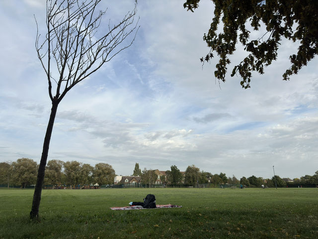 🌳 Discover Roundwood Park, Brent – A Hidden Green Gem in London! 🌳