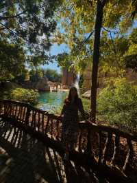 Exploring Bioparc Valencia: A Perfect Visit in Winter and Beyond