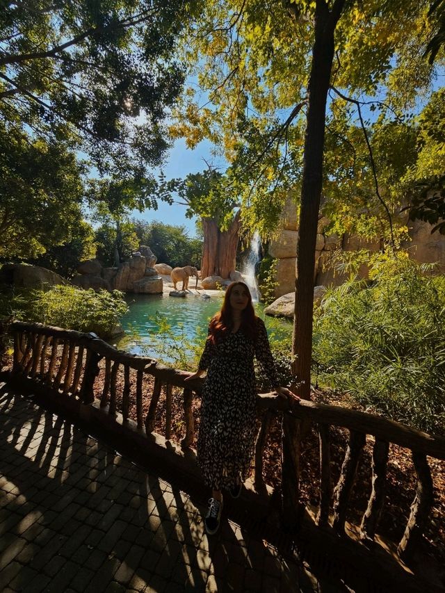 Exploring Bioparc Valencia: A Perfect Visit in Winter and Beyond