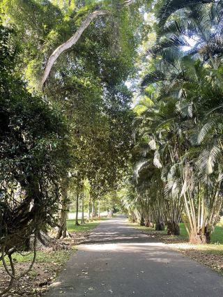 Kew Gardens is also a global center for botanical research and conservation