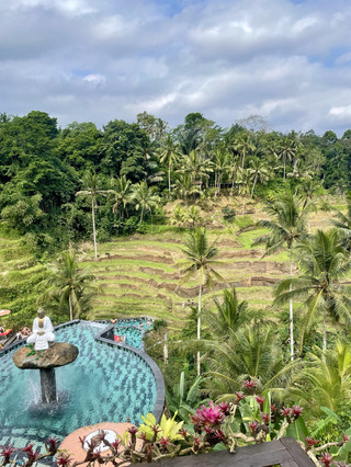 🌾☕ Teras Sawah Tegallalang: Tempat untuk Berhenti Sejenak Menikmati Kopi & Pemandangan