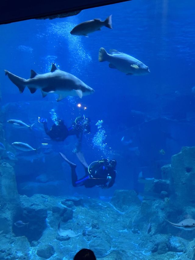 🐠 Istanbul Aquarium: what you’ll see, ticket prices & how to plan your visit 🇹🇷