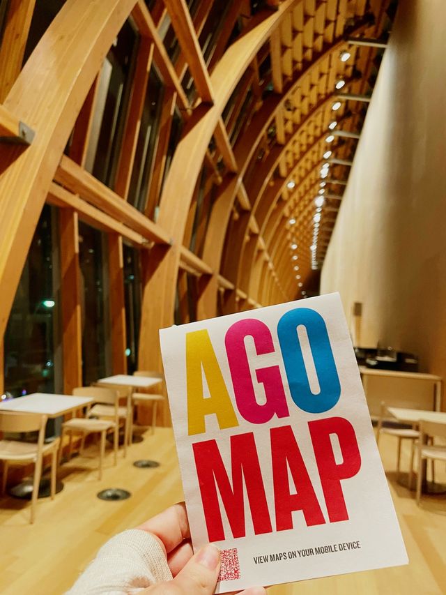 Explore Art's Infinite Wonders: AGO