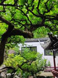 The Crown of Beauty in Southeast China