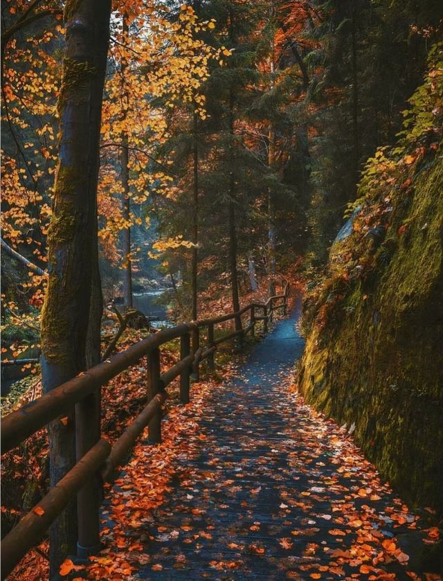 Czech travel 🇨🇿 A mysterious small town, a great weekend getaway!