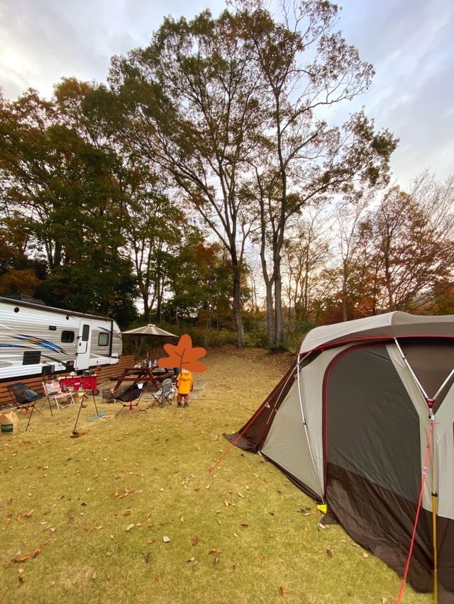 【Shizuoka Prefecture】Camping ⛺️ | BBQ | Family | Sunrise 🌄