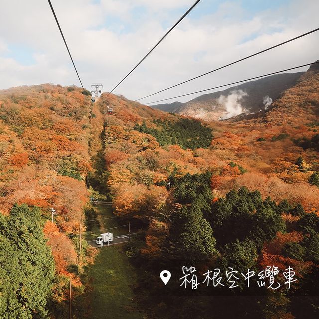 🇯🇵箱根空中纜車