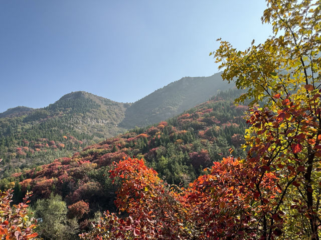 徒步彩石捎近村賞紅葉 徒步彩石捎近村賞紅葉